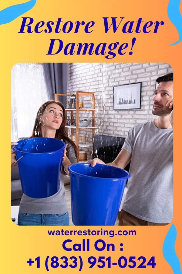 water restoration Precision Recovery Team Naples Park