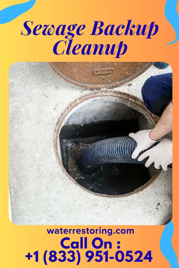 Sewage Backup Cleanup in Naples Park, FL