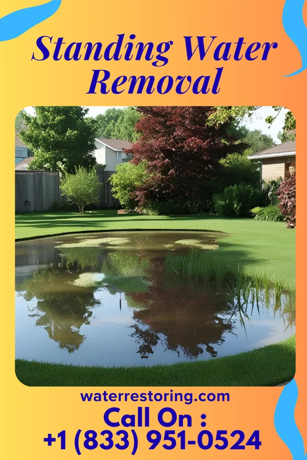 Standing Water Removal in Naples Park, FL